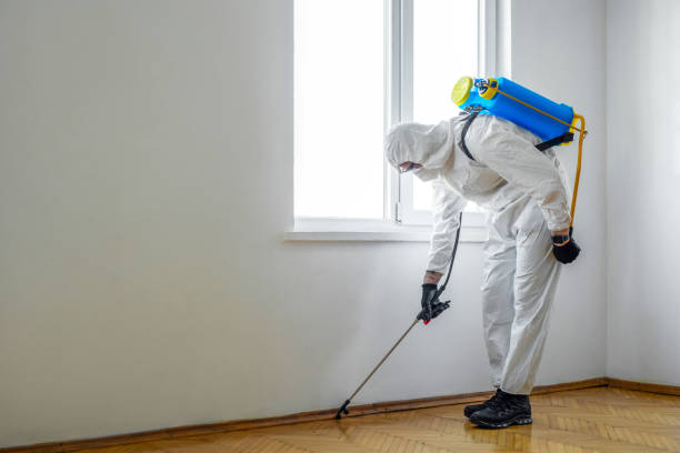 Best Flea Control Services  in Greenwood, SC