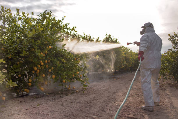 Best Ant Control Services  in Greenwood, SC