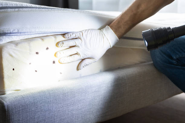 Best Affordable Pest Control Services  in Greenwood, SC