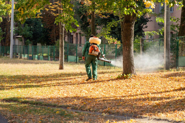 Bird Control in Greenwood, SC