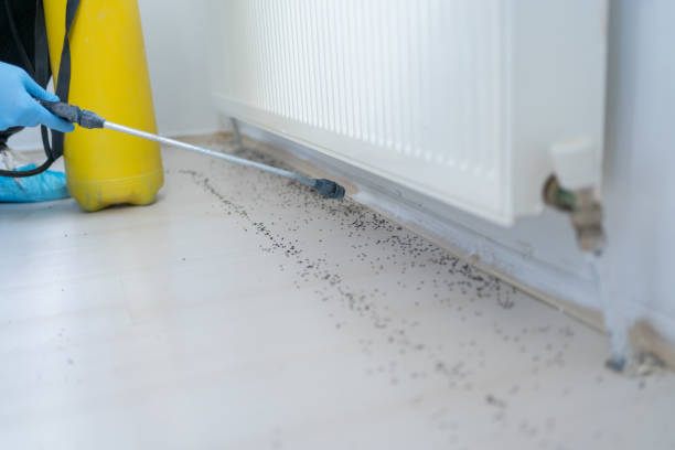 Best Commercial Pest Control Services  in Greenwood, SC